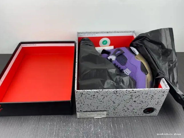 Scott LN4 (Friends and Jordan 4 766296 Retro Family) Purple Travis 0506